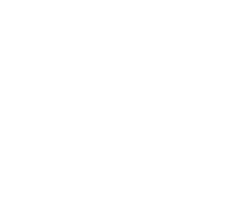 Celebration Cakes